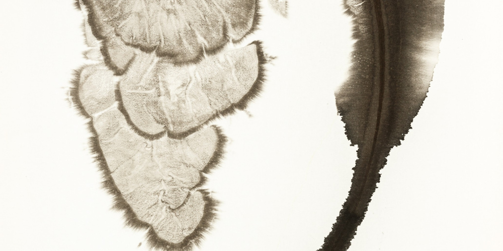 Náhodné kresby tuší Petra Nikla v meziříčské galerii 