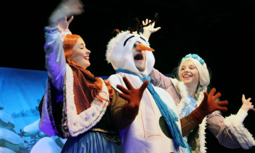 Sněhová královna v ledovém království