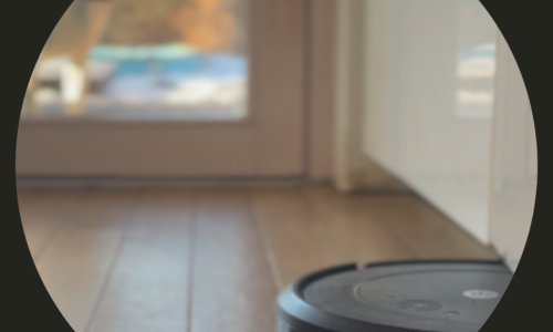 JANA ZHOŘOVÁ — I Was One Thing, Now I Am Being Another  