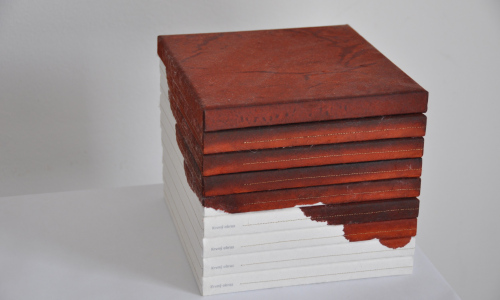 Sochařské práce studentů a pedagogů zaplní prostory Galerie Kaple ve Valašském Meziříčí